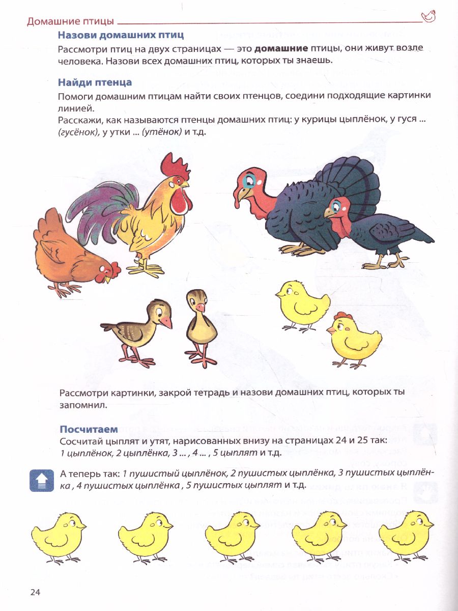 Домашняя логопедическая тетрадь. Формируем словарный запас. Домашние, дикие  животные. Тетрадь 3 - Межрегиональный Центр «Глобус»