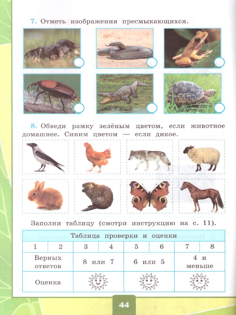 Окружающий мир 2 класс. Тетрадь для практических работ с дневником  наблюдений. Часть 1. УМК Плешаков. К новому ФПУ. ФГОС - Межрегиональный  Центр «Глобус»