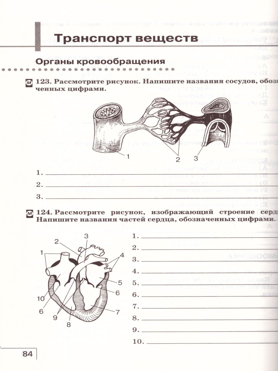 Биология 9 класс. Рабочая тетрадь. Вертикаль. ФГОС - Межрегиональный Центр  «Глобус»