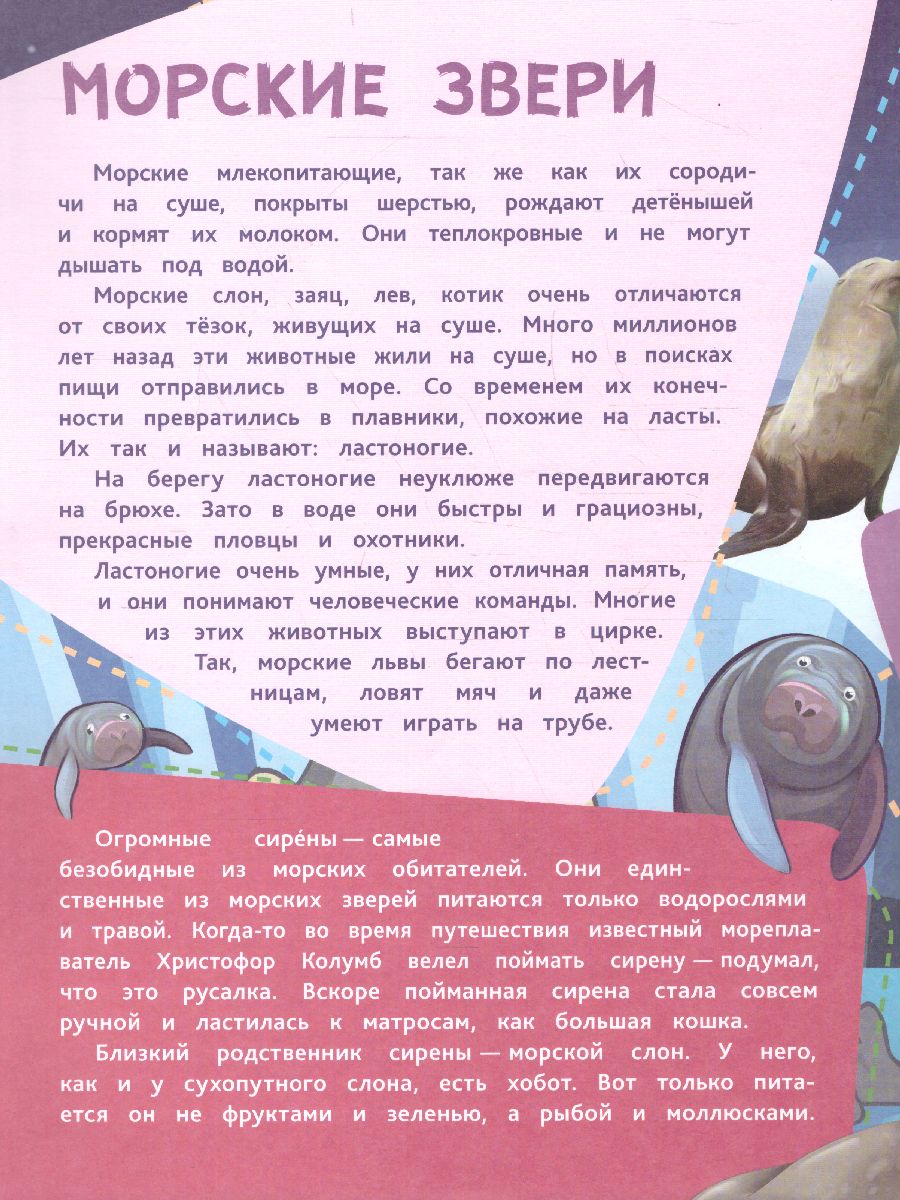 Подводные тайны: Удивительные жители морей, основы водной жизни, загадки  океанских глубин (100 наклеек) - Межрегиональный Центр «Глобус»