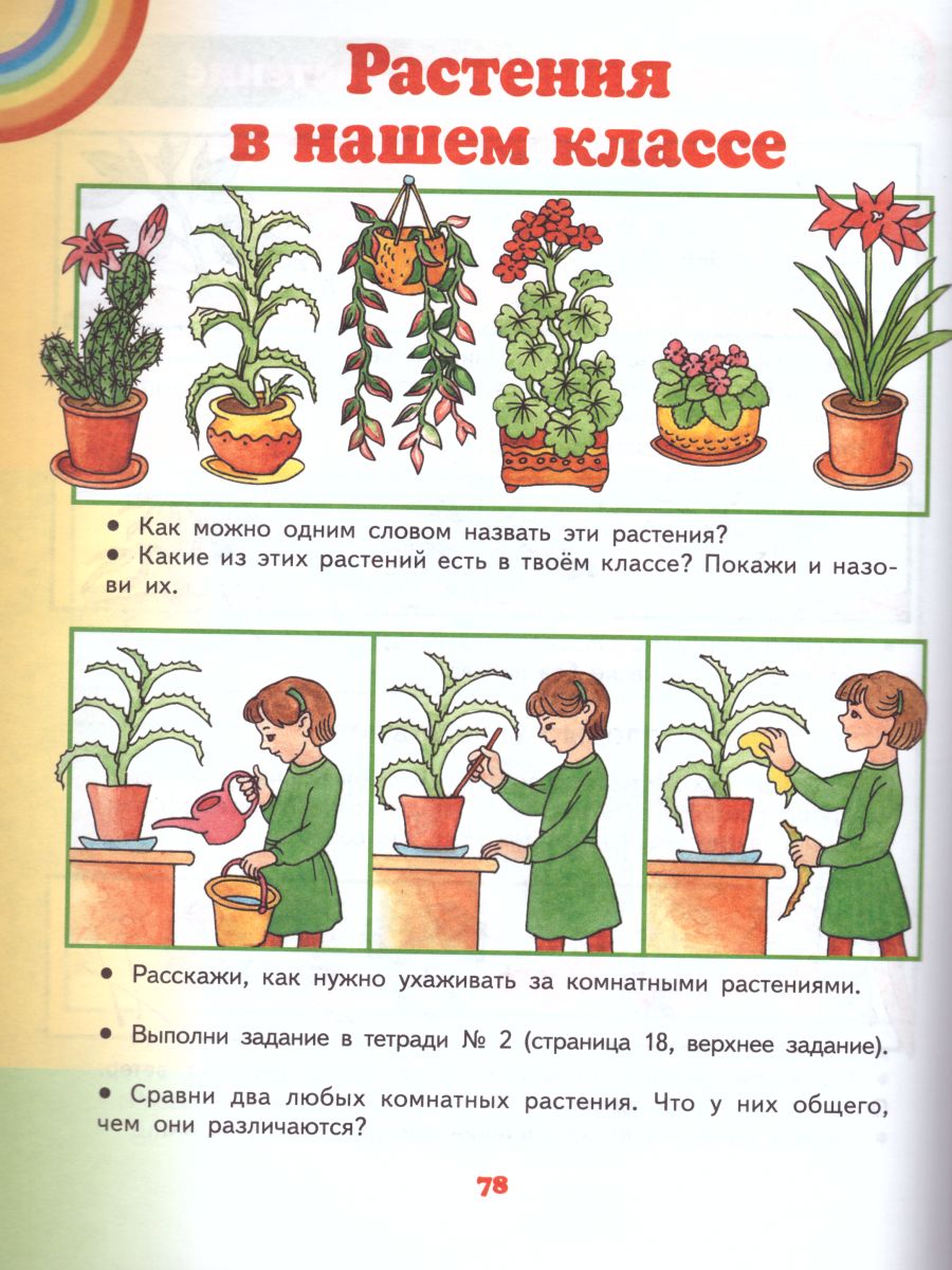 Окружающий мир 1 класс. Учебник. ФГОС - Межрегиональный Центр «Глобус»