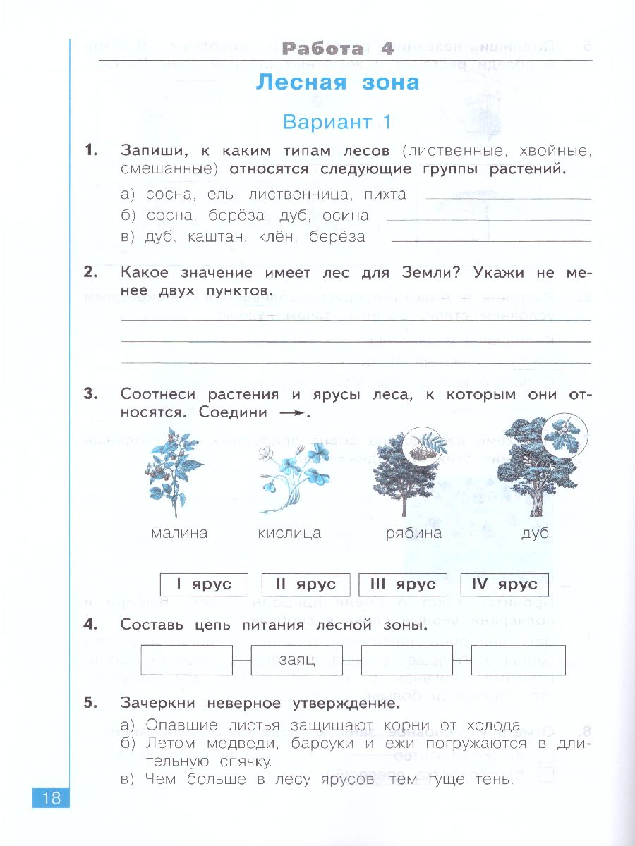 Дмитриева, Казаков Окружающий мир 3 кл. Тематический и итоговый контроль.  Рабочая тетрадь (Бином) - Межрегиональный Центр «Глобус»