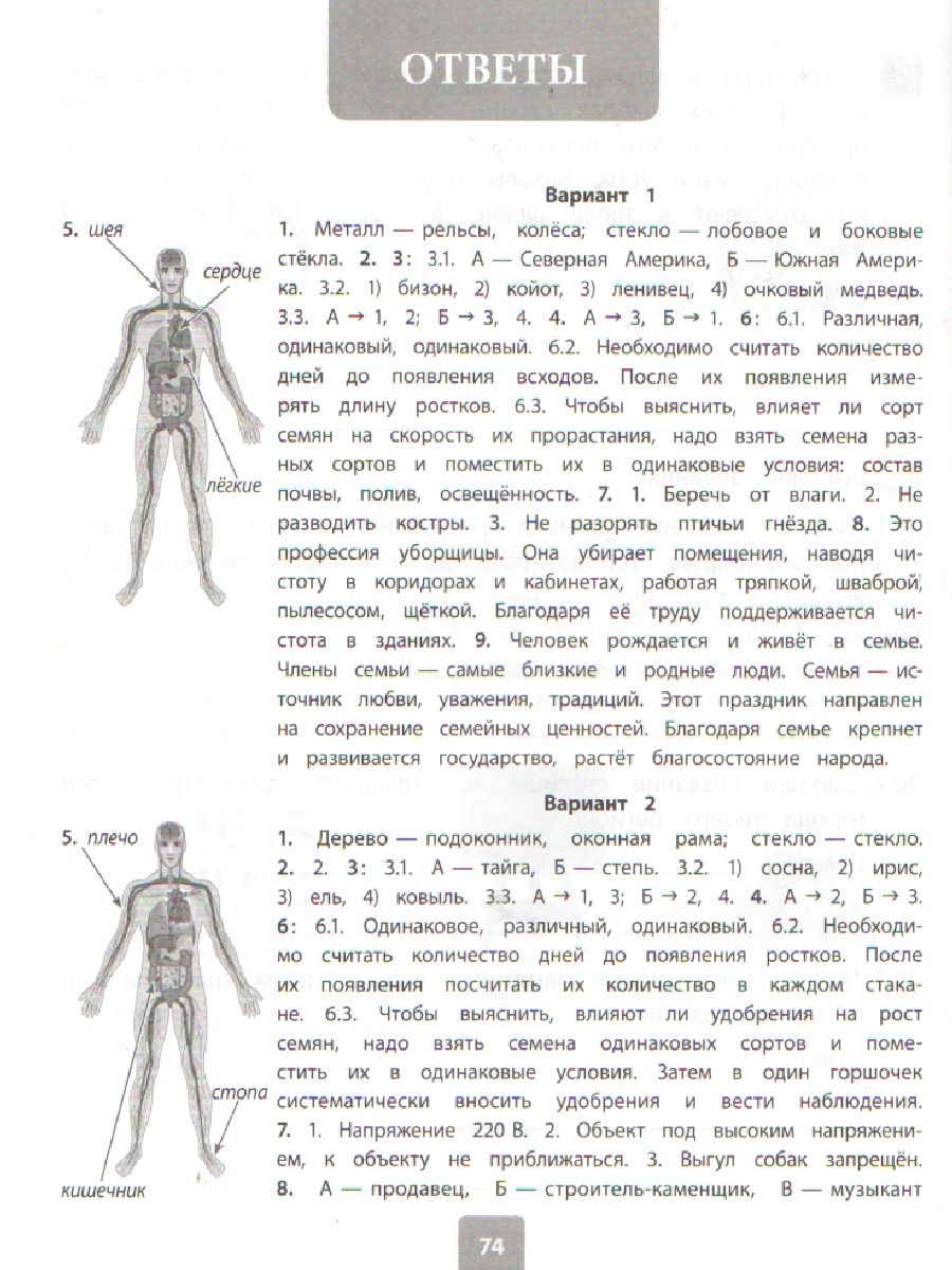 ВПР 2019 Окружающий мир 4 класс - Межрегиональный Центр «Глобус»