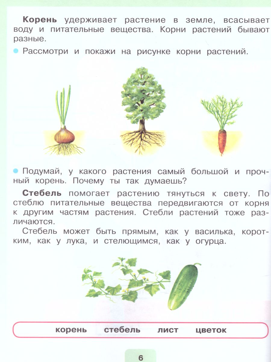 Мир природы и человека 2 класс. Учебник в 2-х частях. Часть 2 (для  обучающихся с интеллектуальными нарушениями) - Межрегиональный Центр  «Глобус»