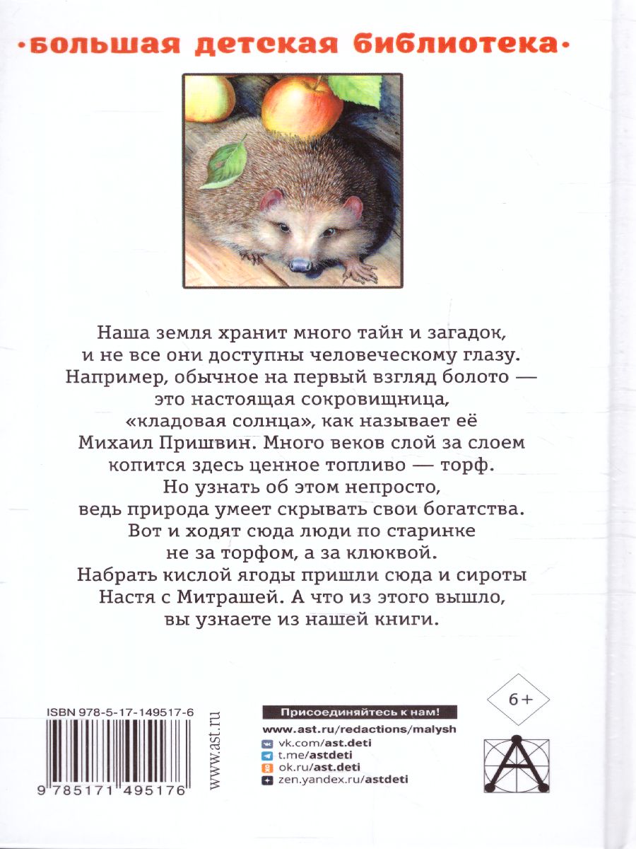 Кладовая солнца. Повесть и рассказы /Большая детская библиотека -  Межрегиональный Центр «Глобус»