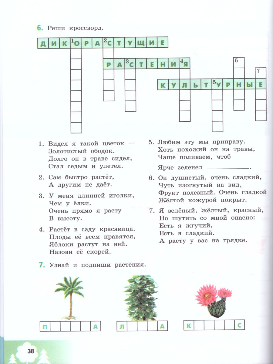 Природоведение 5 класс. Рабочая тетрадь. Для коррекционных образовательных  учреждений VIII вида - Межрегиональный Центр «Глобус»