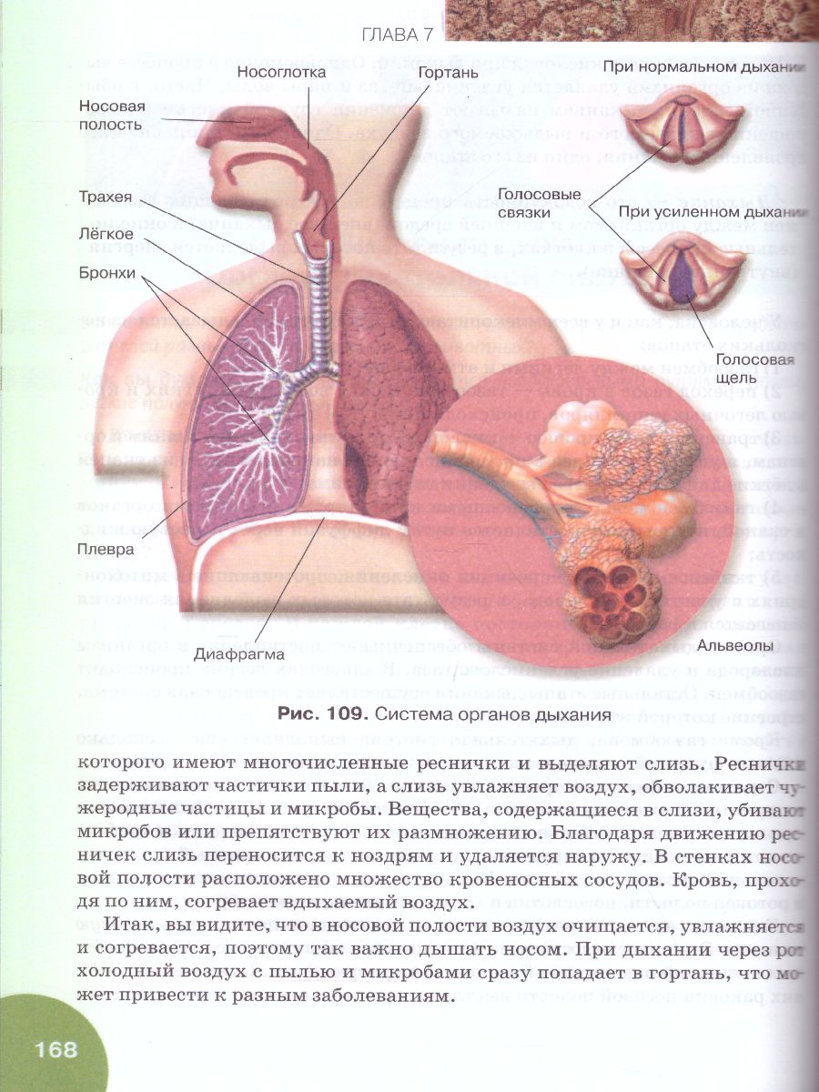 Биология 9 класс. Учебник - Межрегиональный Центр «Глобус»