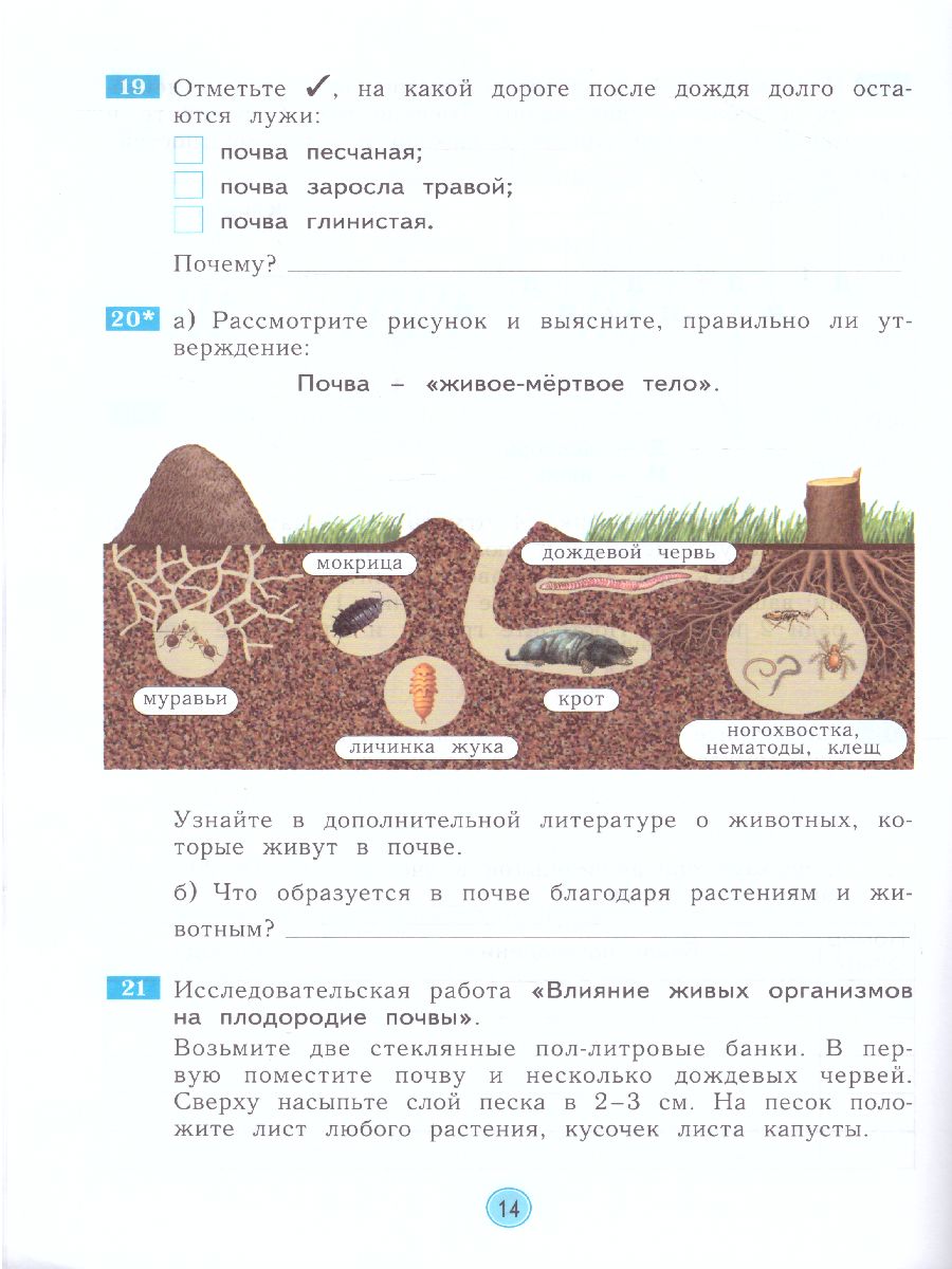 Дмитриева, Казаков Окружающий мир. Рабочая тетрадь. 3 класс (Бином) -  Межрегиональный Центр «Глобус»