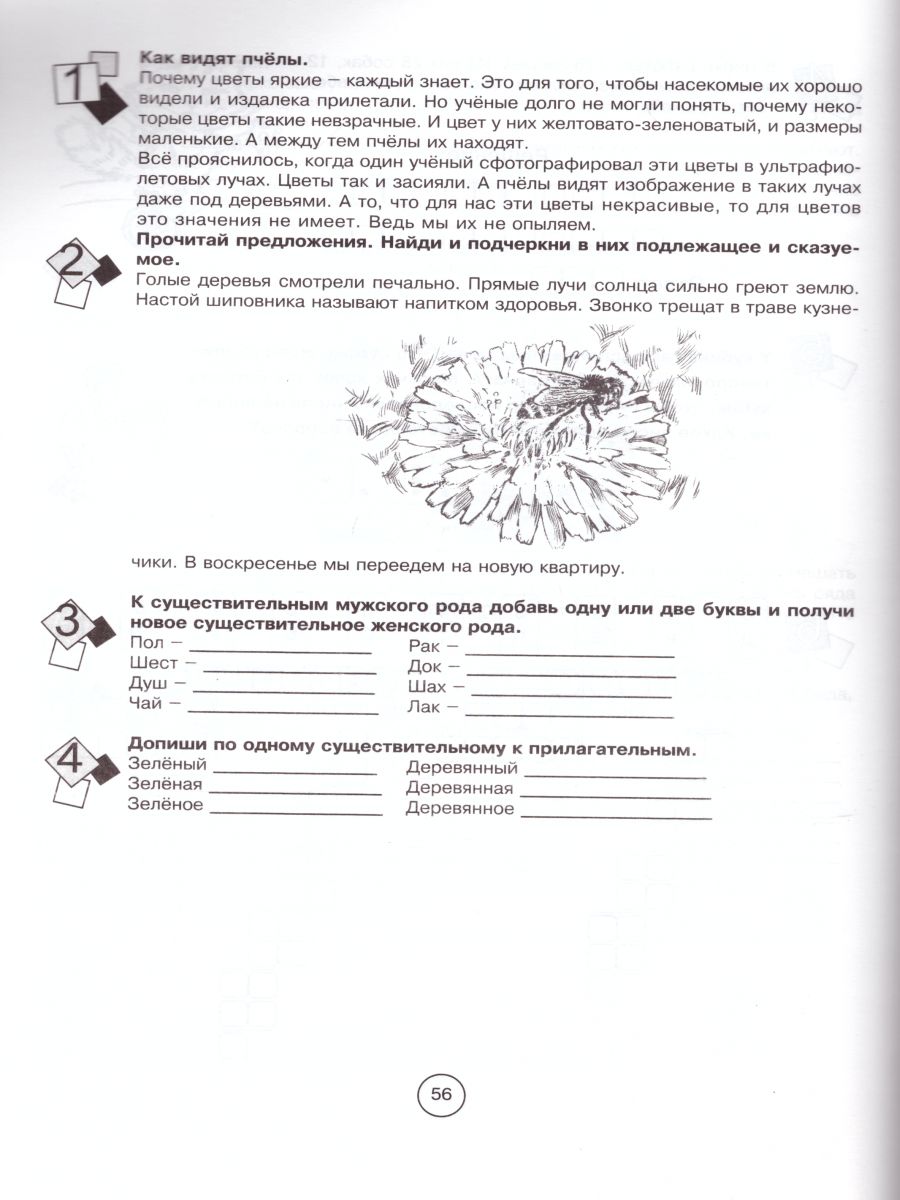 Занимательная летняя школа 4-5 класс (4 передмета на одном развороте) -  Межрегиональный Центр «Глобус»