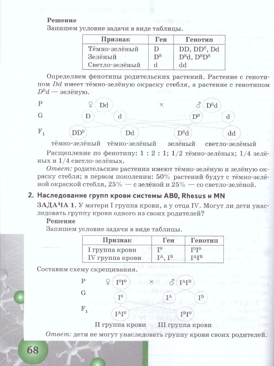 Задачи по молекулярной Биологии и Генетике 10-11 класс. Теория и практика -  Межрегиональный Центр «Глобус»