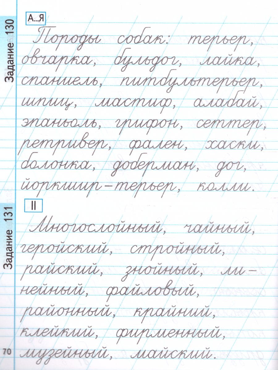 Тренажер по Чистописанию 2 класс. Пишем грамотно. ФГОС - Межрегиональный  Центр «Глобус»