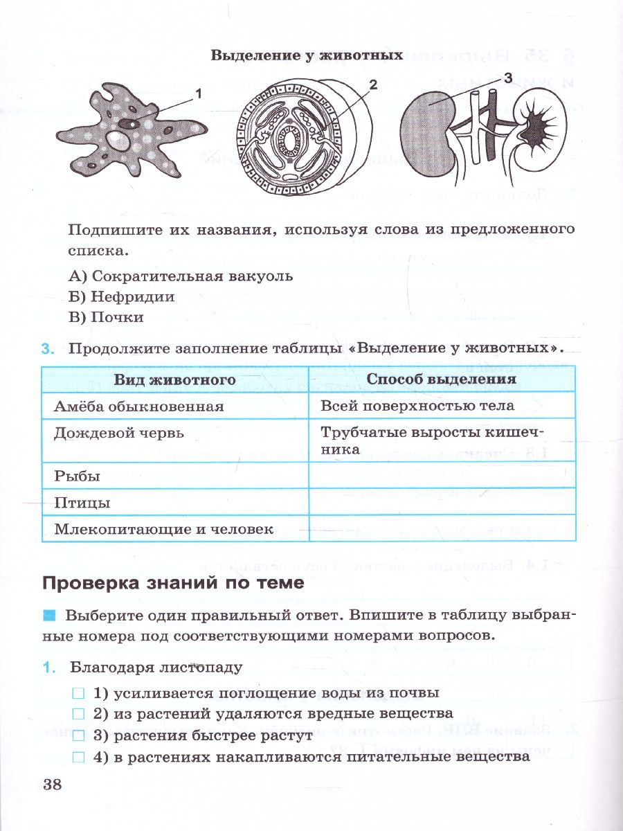 Биология 5 класс. Рабочая тетрадь к учебнику В.В. Пасечника. УМК 