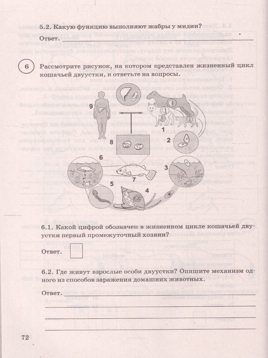 ВПР Биология 8 класс. 15 вариантов. ФИОКО СТАТГРАД ТЗ ФГОС -  Межрегиональный Центр «Глобус»