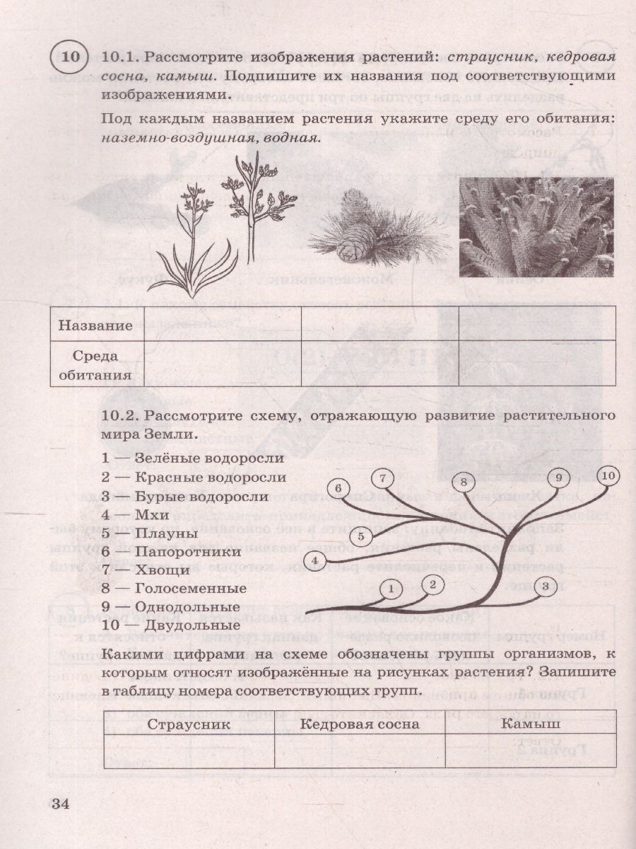 Решу впр по биологии 7 класс