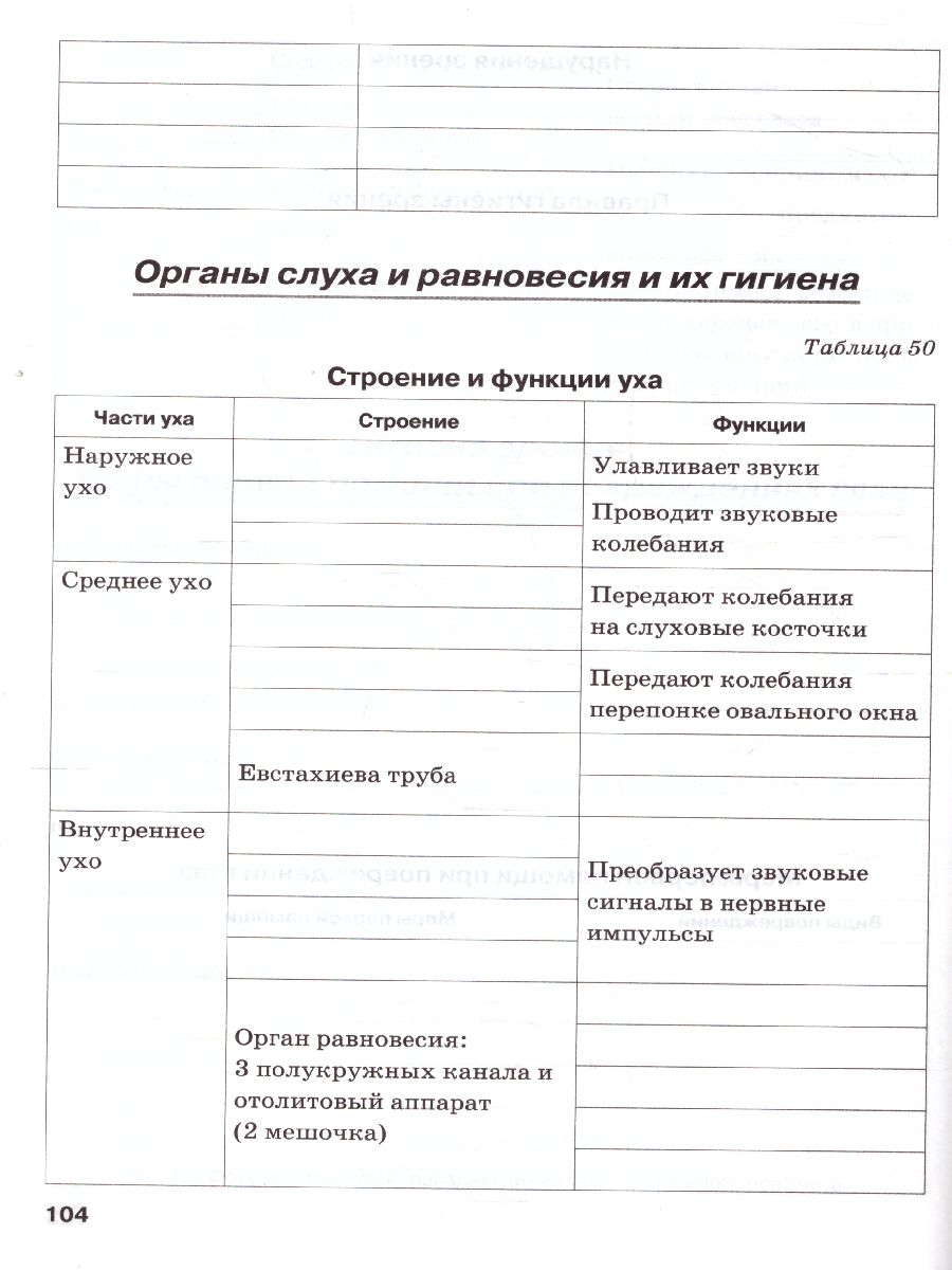 Орган равновесия 8 класс биология