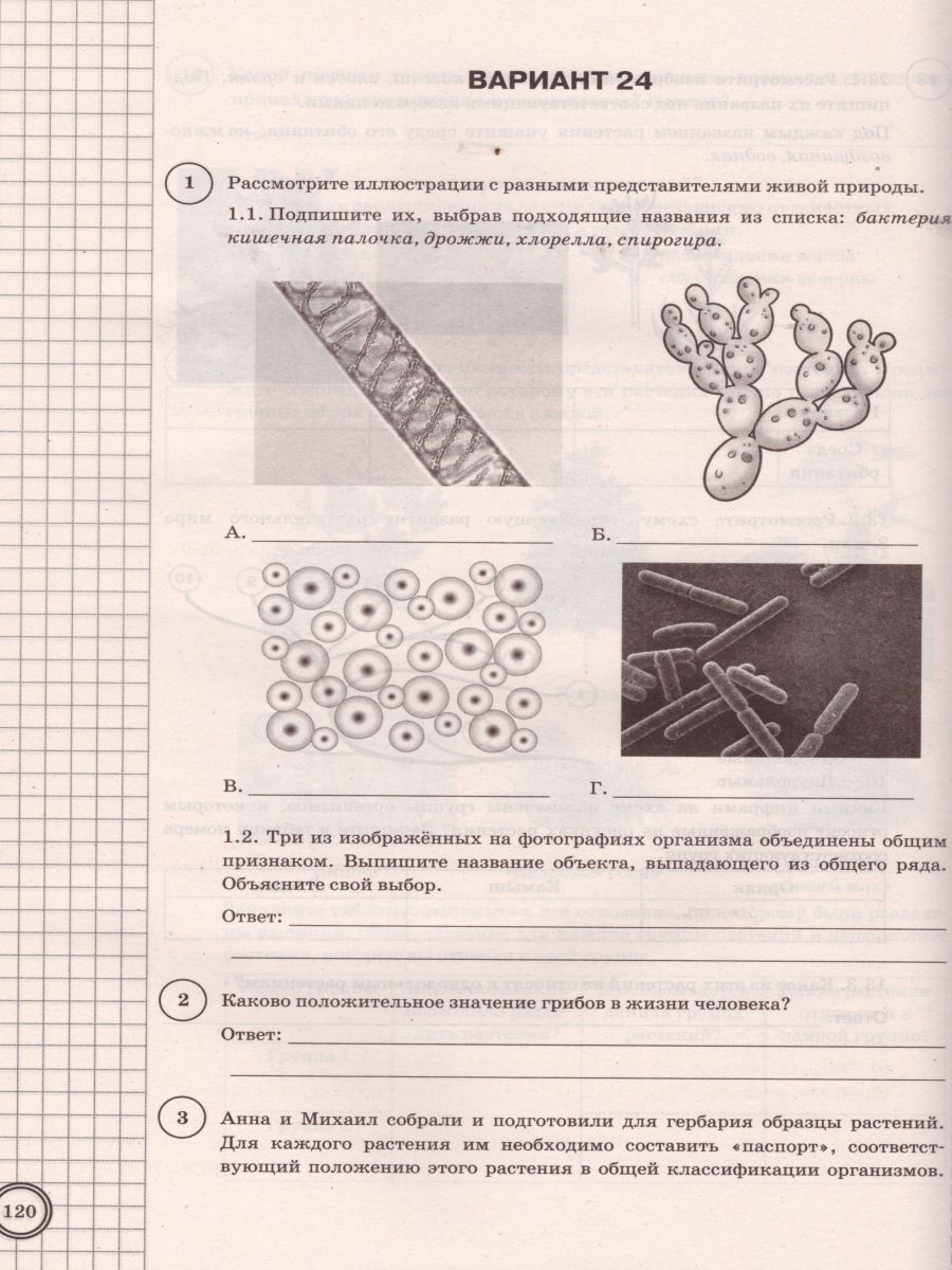 ВПР Биология 7 класс. 10 вариантов ТЗ ФГОС 120 стр