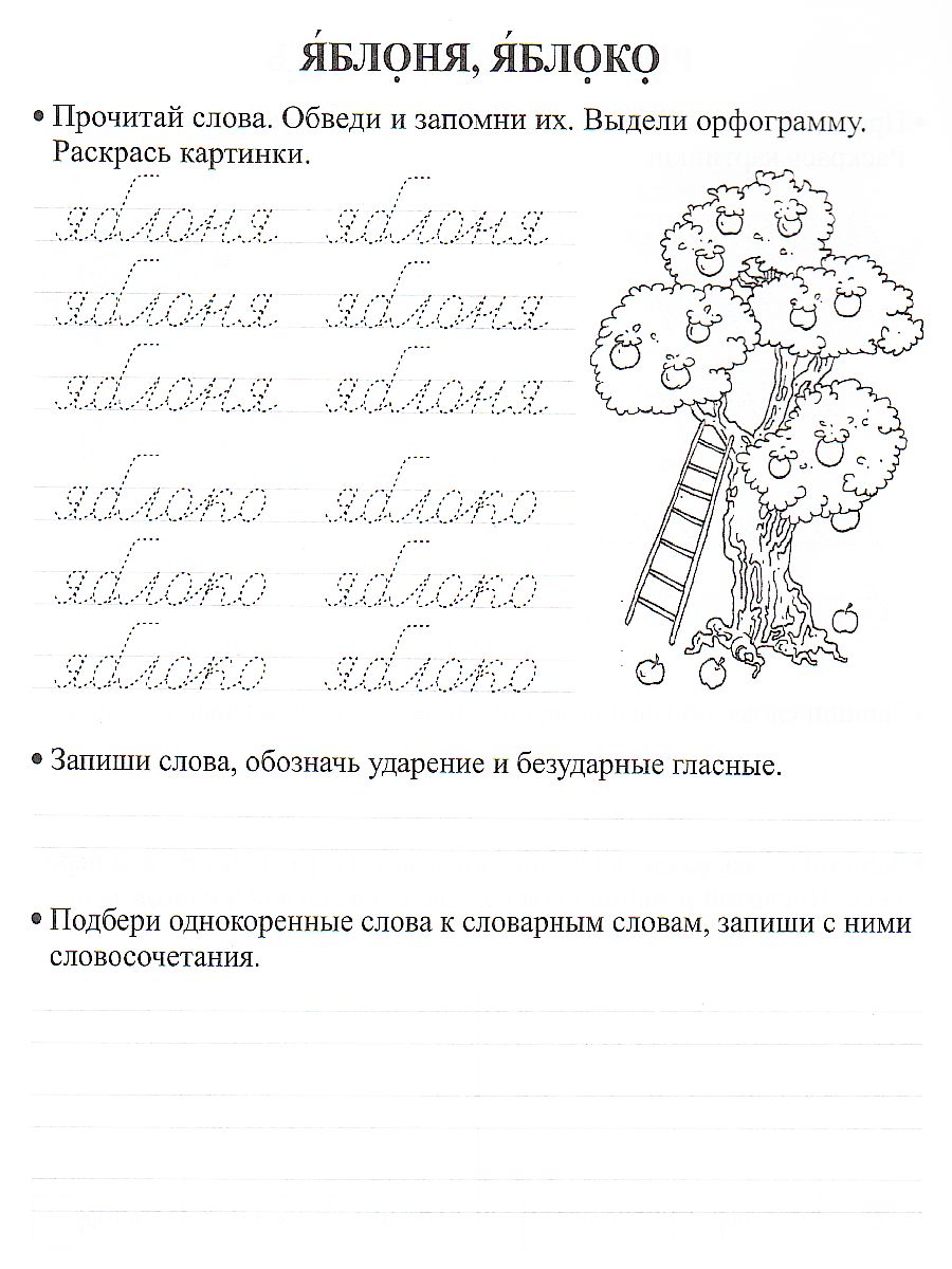 Орфографические прописи 2 класс. Развивающие задания - Межрегиональный  Центр «Глобус»