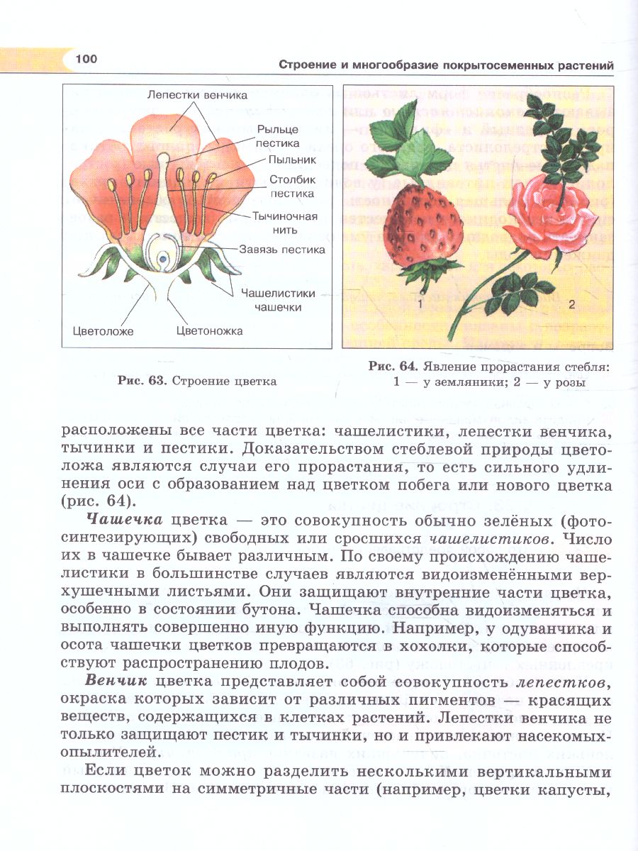 Биология 5 класс. Живые организмы. Растения. Учебник - Межрегиональный  Центр «Глобус»