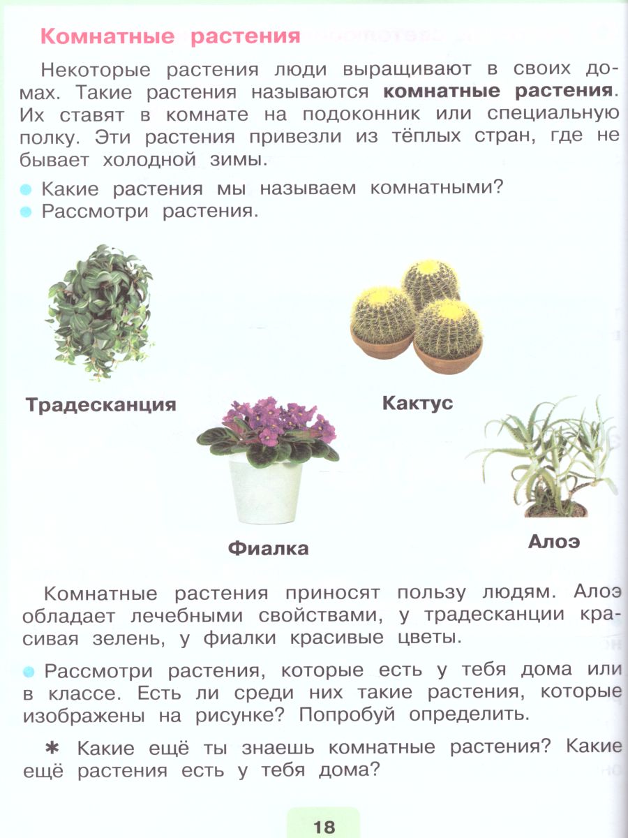 Мир природы и человека 2 класс. Учебник в 2-х частях. Часть 2 (для  обучающихся с интеллектуальными нарушениями) - Межрегиональный Центр  «Глобус»