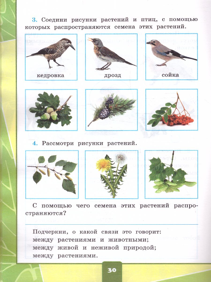 Окружающий мир 2 класс. Тетрадь для практических работ №1 с дневником  наблюдений. ФГОС - Межрегиональный Центр «Глобус»