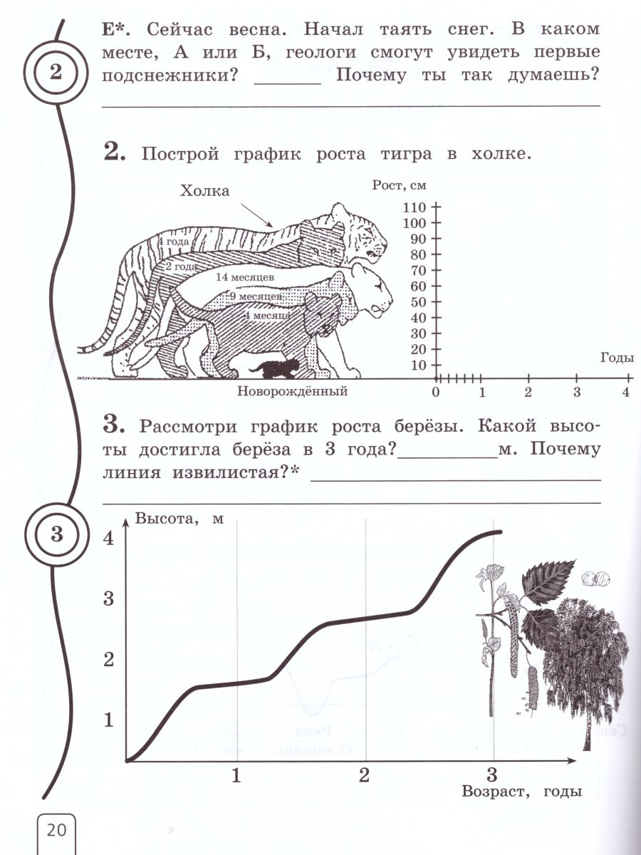 Окружающий мир 3 класс. Рабочая тетрадь. Часть 2. ФГОС - Межрегиональный  Центр «Глобус»