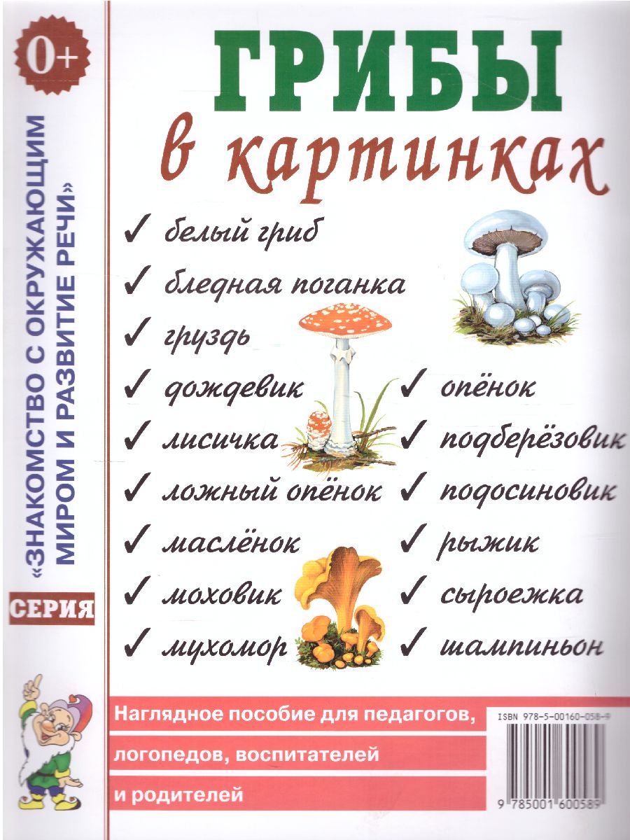 Грибы в картинках. Наглядное пособие для воспитателей, логопедов,  педагогов, родителей - Межрегиональный Центр «Глобус»