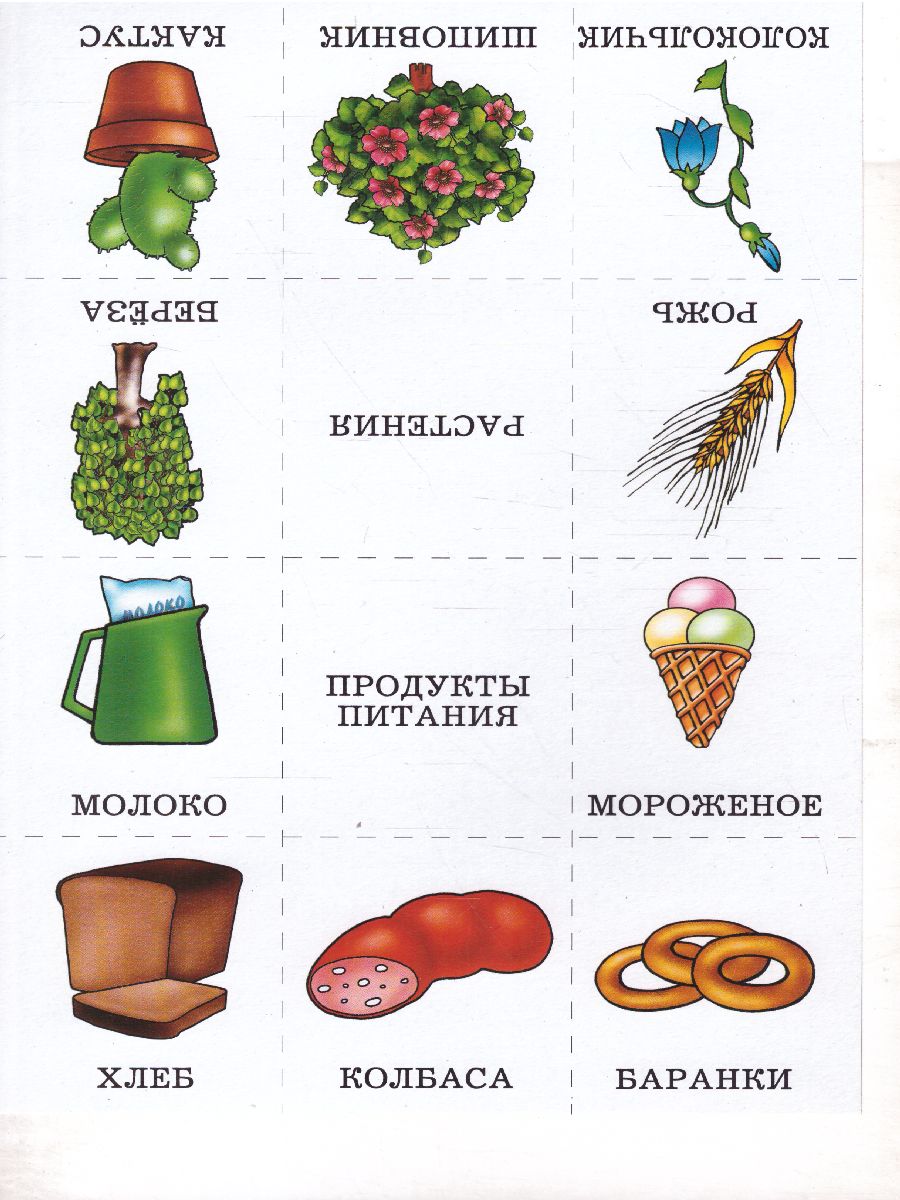 Назови одним словом - Межрегиональный Центр «Глобус»