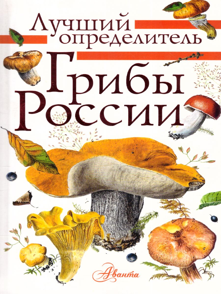 Грибы России. Определитель. Кривошеев С.В. /ЛучшийОпределитель -  Межрегиональный Центр «Глобус»