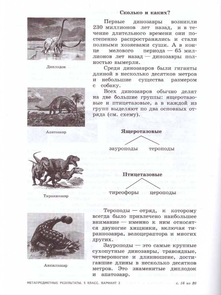 Метапредметные результаты. Стандартизированные материалы для оценки читательской  грамотности. 5 класс. Варианты 1-4. ФГОС - Межрегиональный Центр «Глобус»