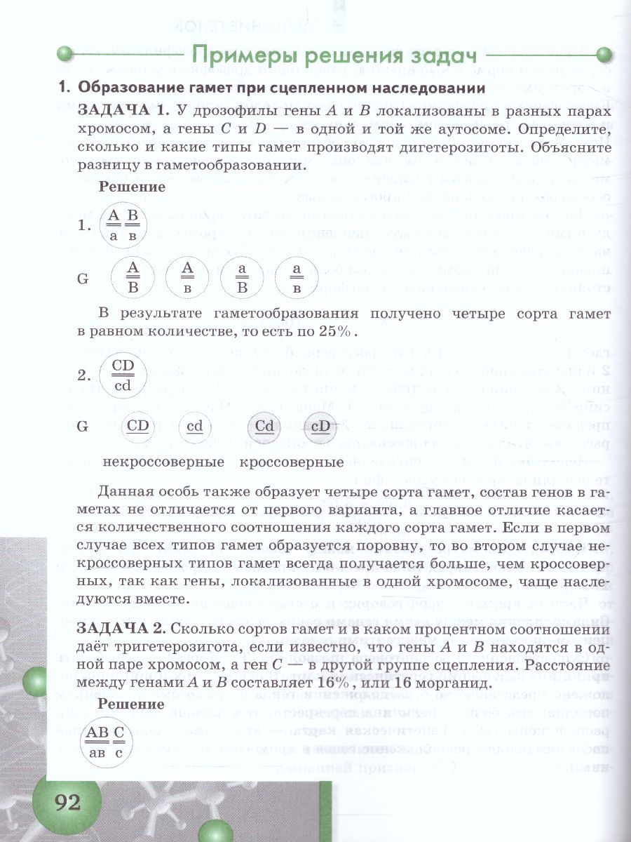 Задачи по молекулярной Биологии и Генетике 10-11 класс. Теория и практика -  Межрегиональный Центр «Глобус»