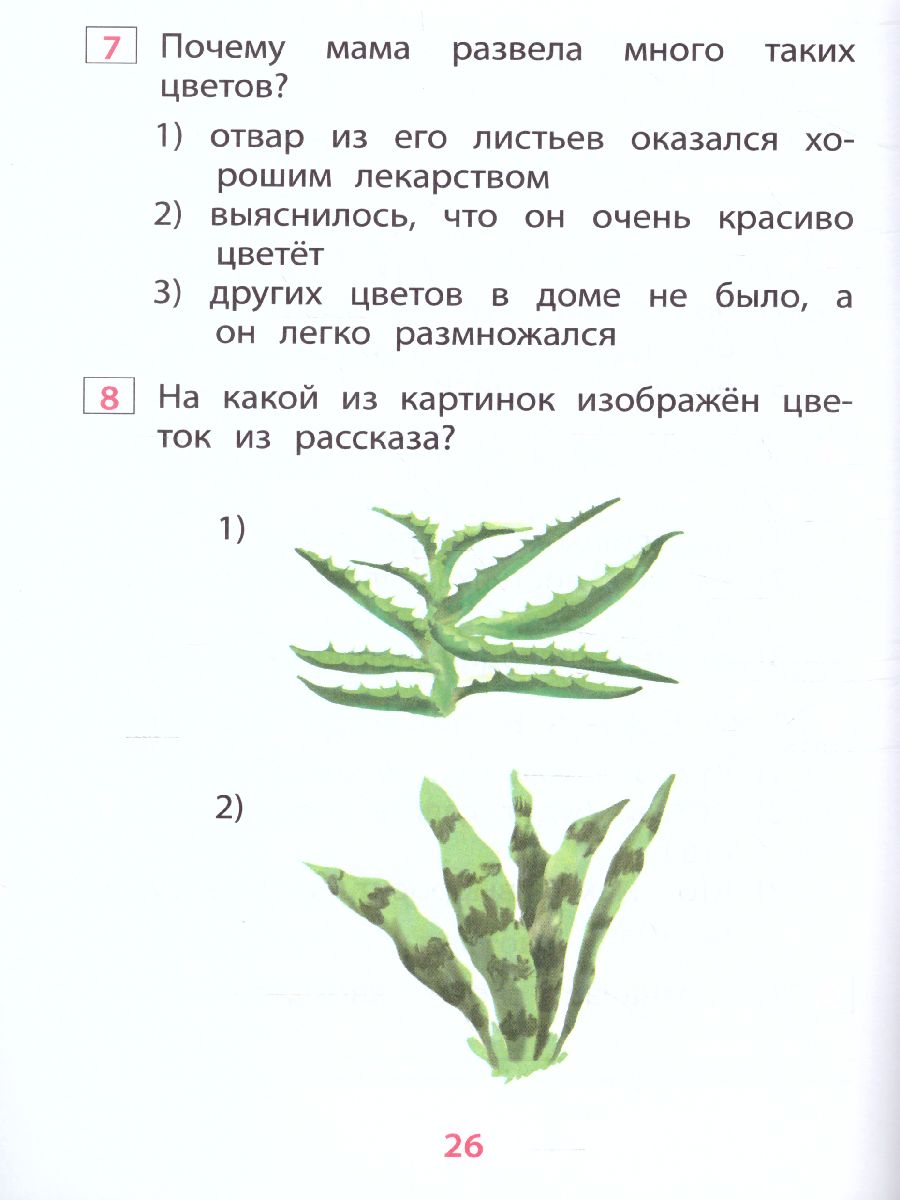 Чтение 1 класс. Диагностика читательской компетентности - Межрегиональный  Центр «Глобус»