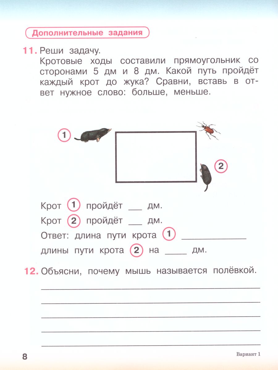 Комплексная проверочная работа(*) 1 класс (I уровень сложности). Рабочая  тетрадь - Межрегиональный Центр «Глобус»