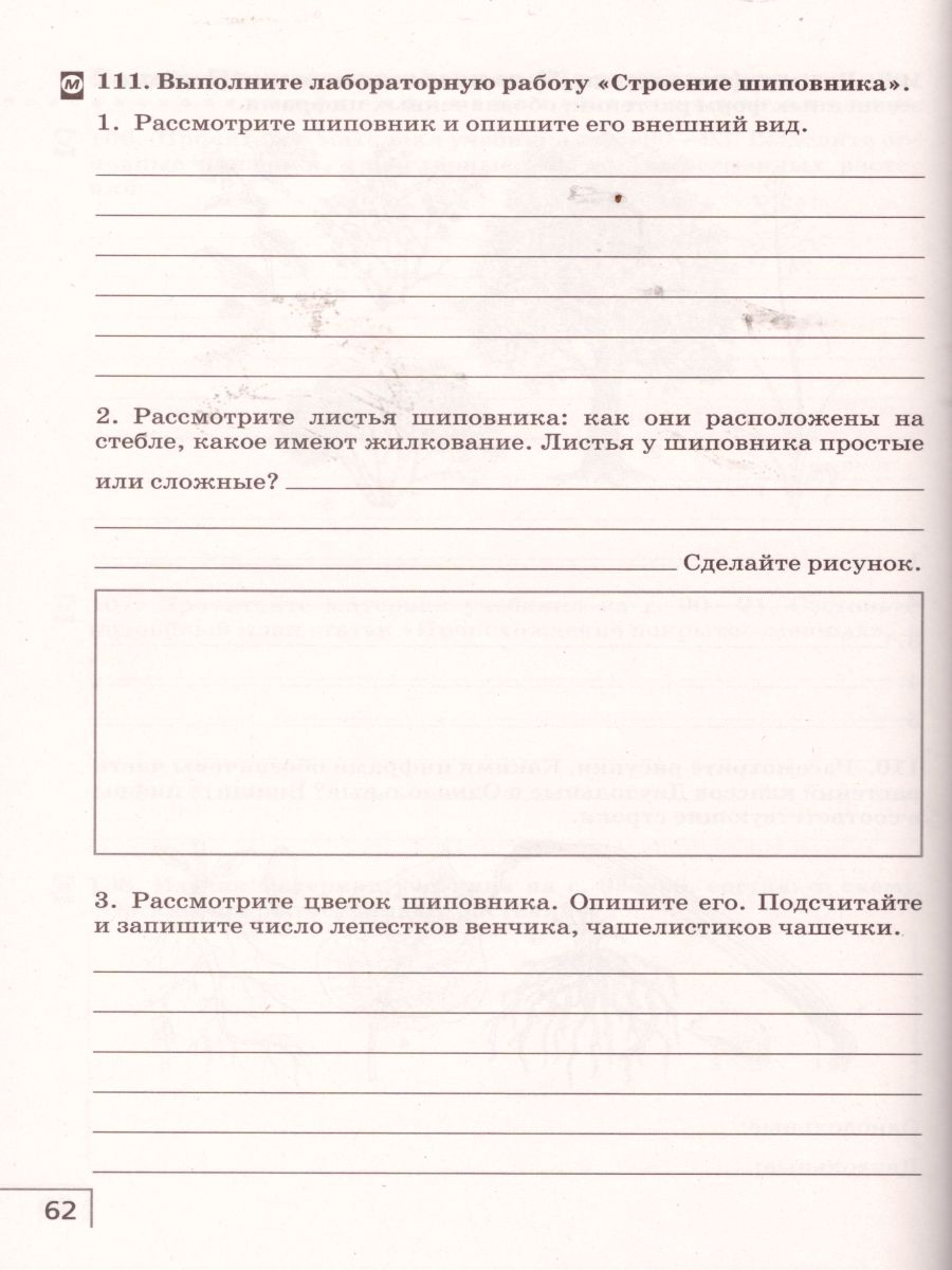 Биология 7 класс. Многообразие живых организмов. Рабочая тетрадь. С  тестовыми заданиями ЕГЭ. Вертикаль. ФГОС - Межрегиональный Центр «Глобус»