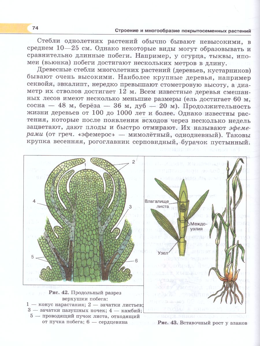 Биология 5 класс. Живые организмы. Растения. Учебник - Межрегиональный  Центр «Глобус»