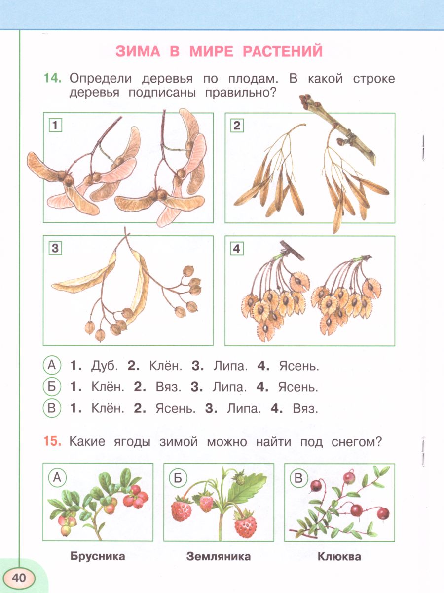 Окружающий мир 2 класс. Тесты. ФГОС. УМК 