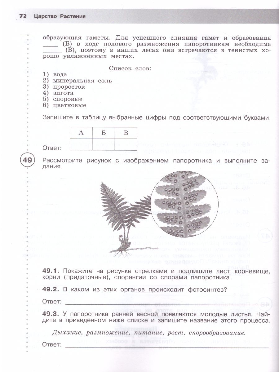 ВПР. Биология 5 класс. Рабочая тетрадь. 5 класс - Межрегиональный Центр  «Глобус»