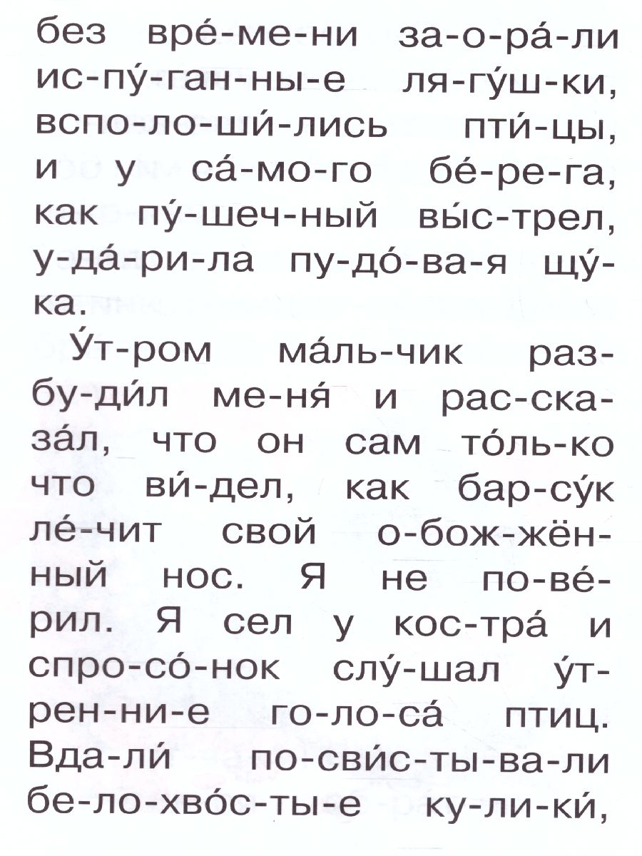 Барсучий нос /Сам читаю по слогам - Межрегиональный Центр «Глобус»