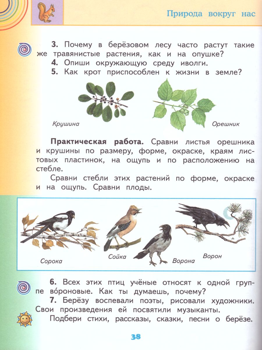 Окружающий мир 2 класс. Учебник. В 2 частях. Часть 2. ФГОС -  Межрегиональный Центр «Глобус»