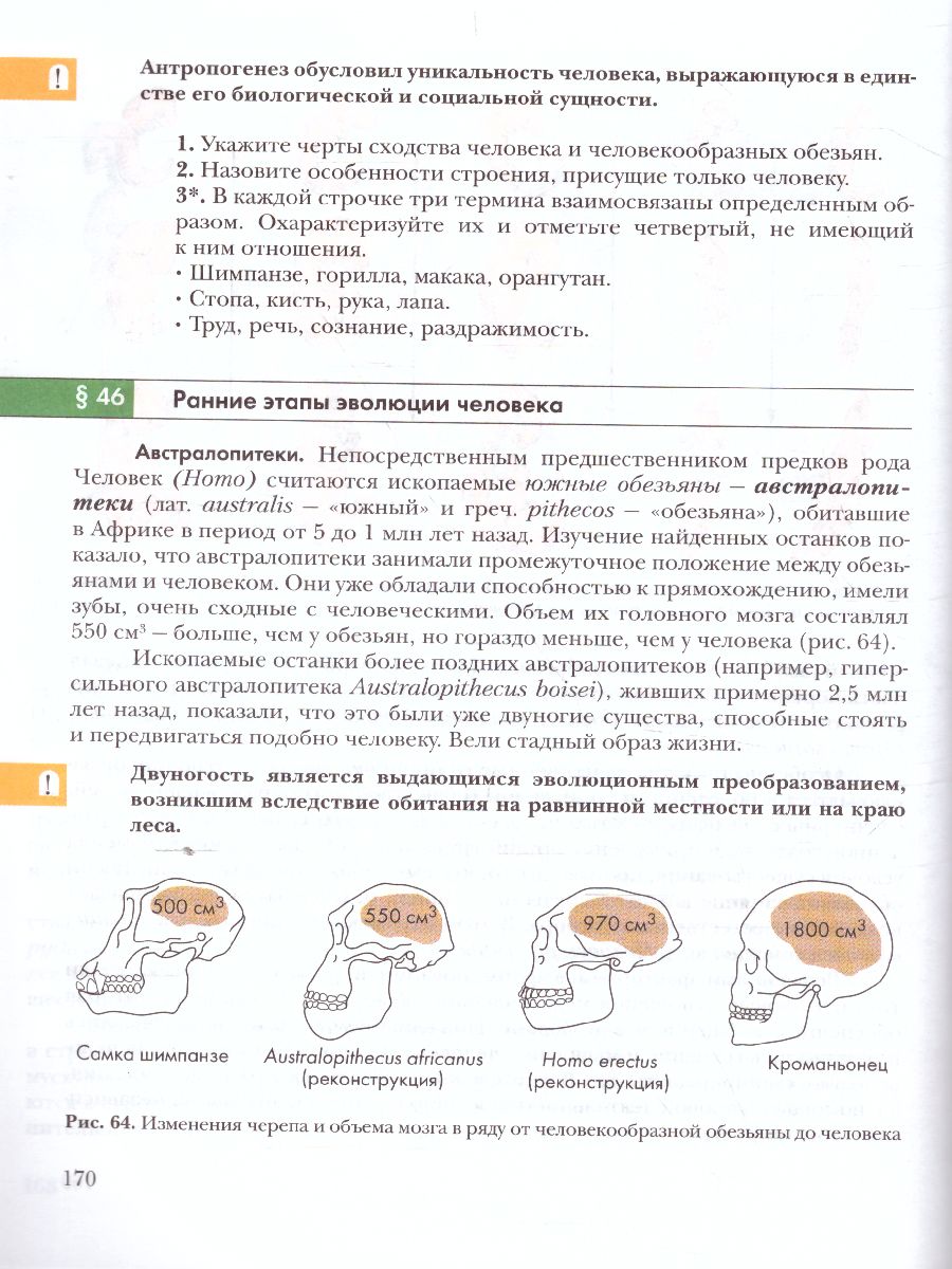 Основы общей Биологии 9 класс. Учебник - Межрегиональный Центр «Глобус»