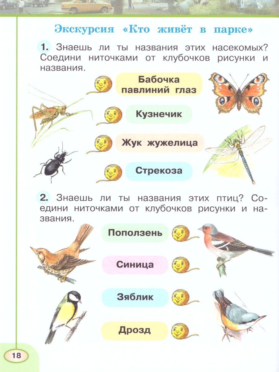 Окружающий мир 1 класс. Рабочая тетрадь в 2-х частях. Часть 2. УМК 