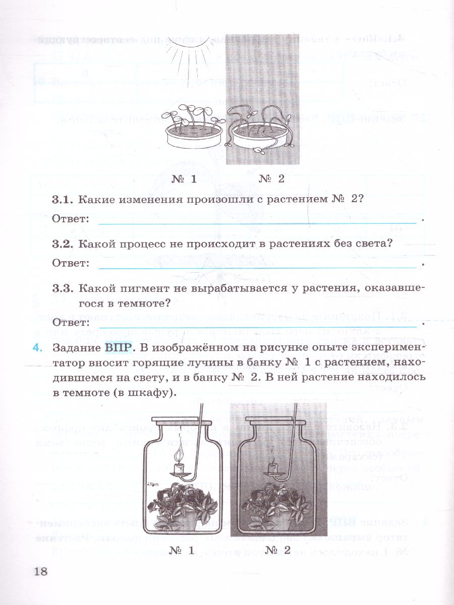 Биология 5 класс. Рабочая тетрадь к учебнику В.В. Пасечника. УМК 