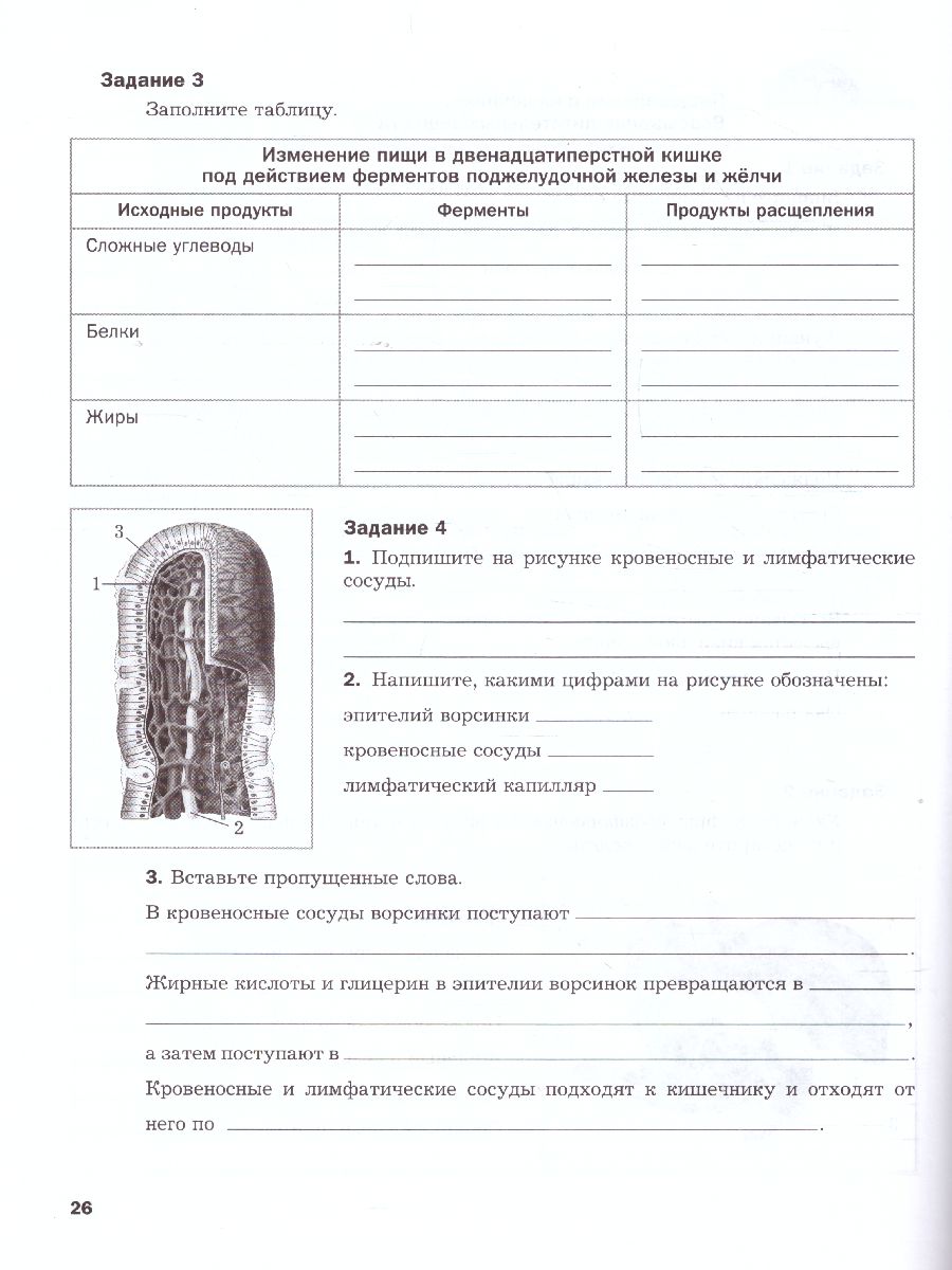 Биология 8 класс. Рабочая тетрадь №2 ФГОС - Межрегиональный Центр «Глобус»