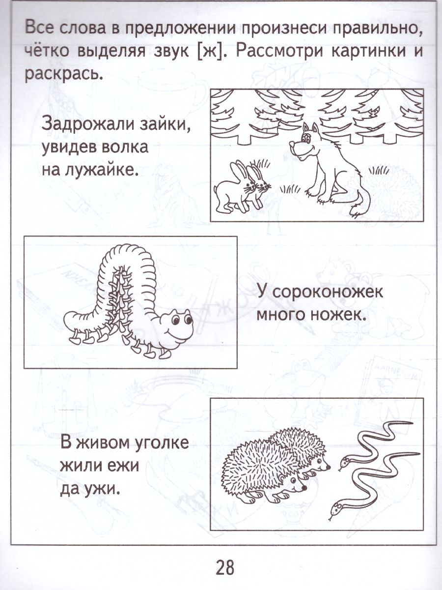 Логопедическая тетрадь на звуки Ш, Ж. Рабочая тетрадь - Межрегиональный  Центр «Глобус»