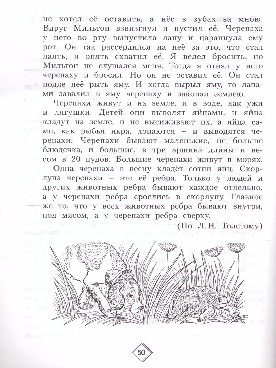 Литературное чтение 3 класс. Тетрадь диагностических тестовых работ -  Межрегиональный Центр «Глобус»