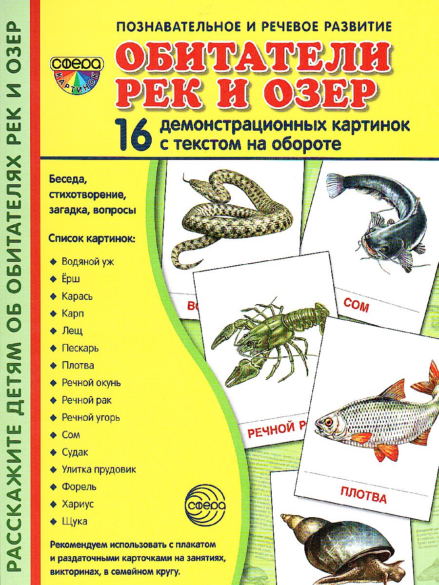 Демонстрационные картинки СУПЕР Обитатели рек и озер. 16 раздаточных  карточек с текстом (173*220 мм) - Межрегиональный Центр «Глобус»