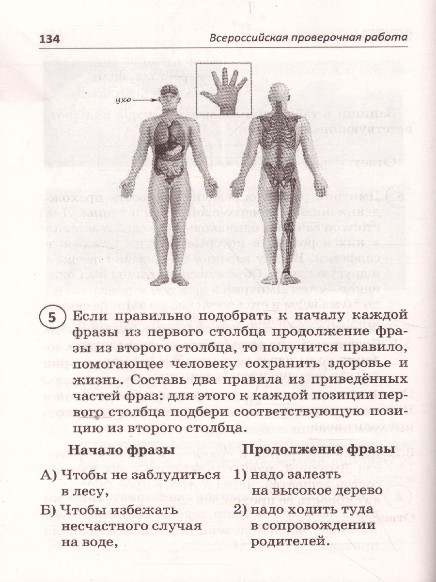 ВПР Окружающий мир 4 класс - Межрегиональный Центр «Глобус»