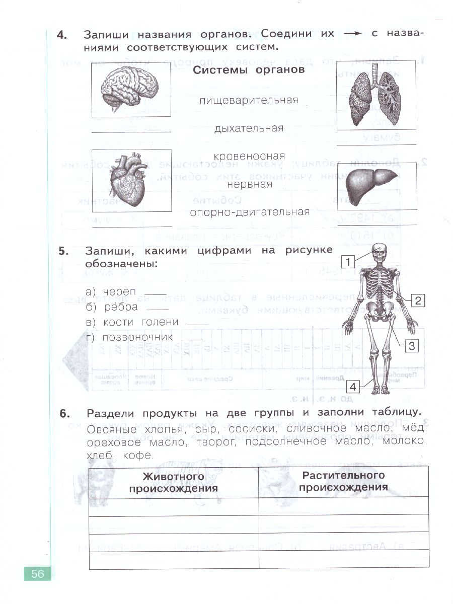 Дмитриева, Казаков Окружающий мир 4 кл. Тематический и итоговый контроль. Рабочая  тетрадь (Бином) - Межрегиональный Центр «Глобус»