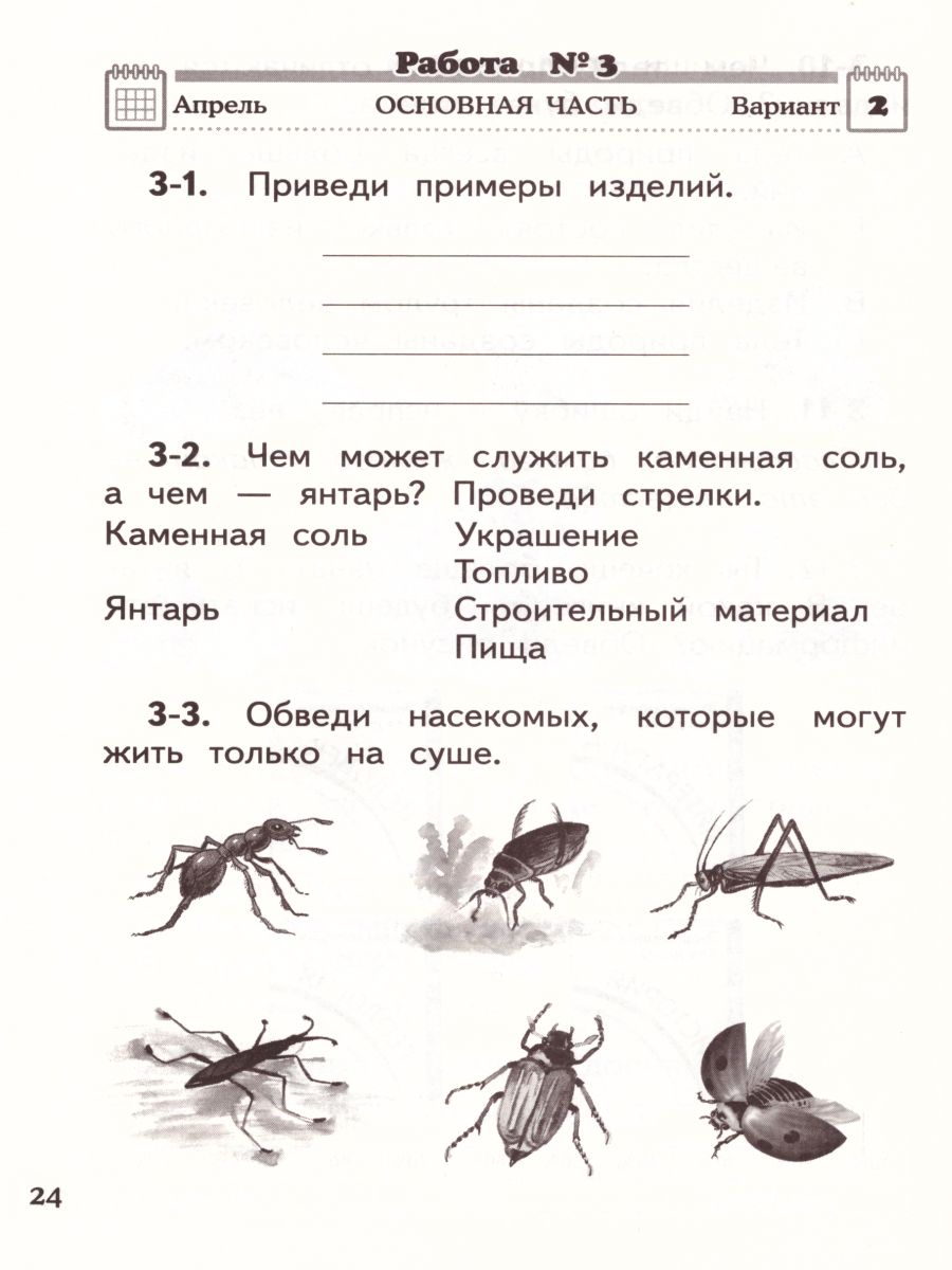 Окружающий мир 2 класс. Проверочные и диагностические работы. ФГОС -  Межрегиональный Центр «Глобус»