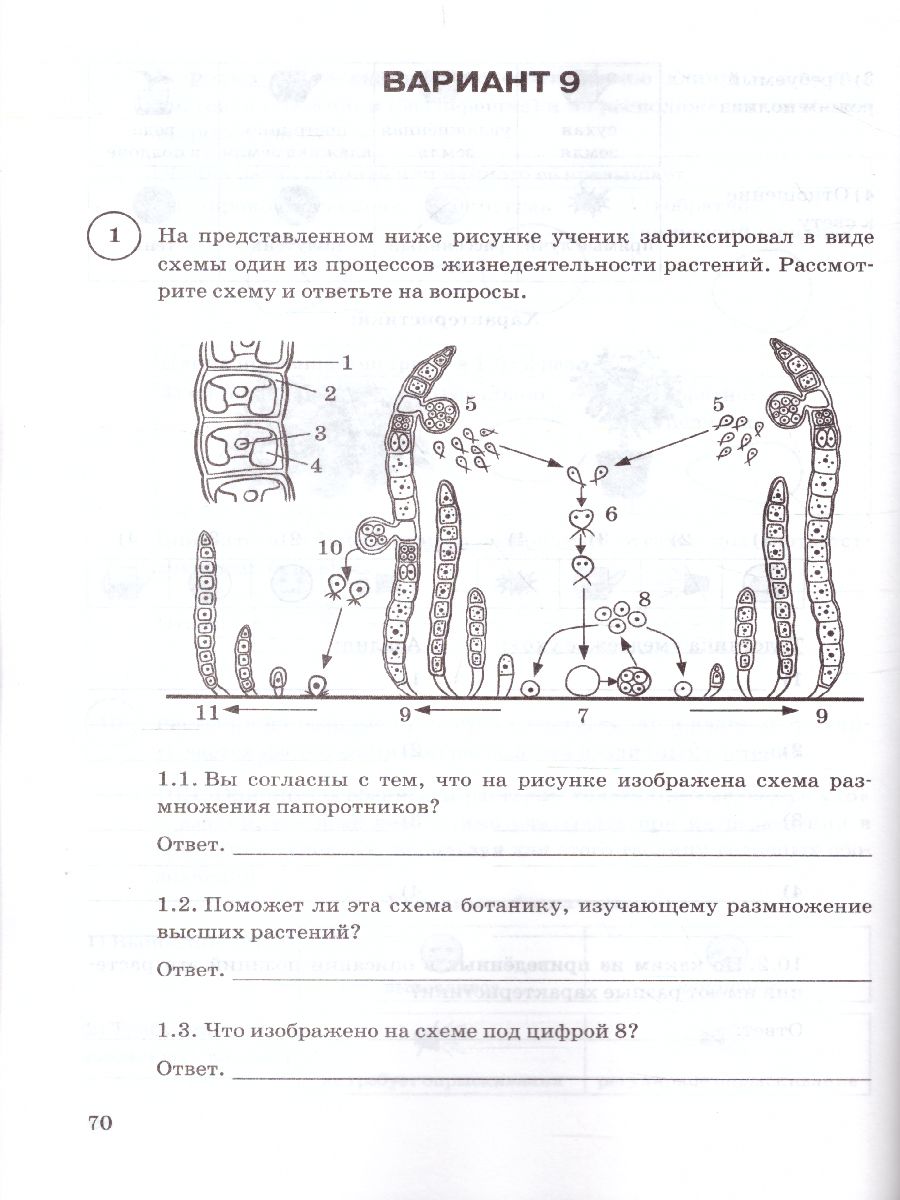 ВПР Биология 6 класс. 15 вариантов ФИОКО СТАТГРАД ТЗ ФГОС - Межрегиональный  Центр «Глобус»