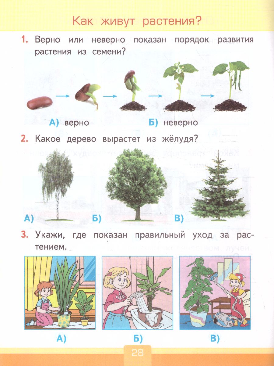 Окружающий мир 1 класс. Тесты. ФГОС - Межрегиональный Центр «Глобус»